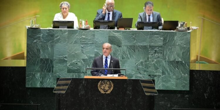 پاکستان باش وزیری افغانستان‌ده برچه شامل حکومت ایجاد اېتیلیشینی سۉره‌گن