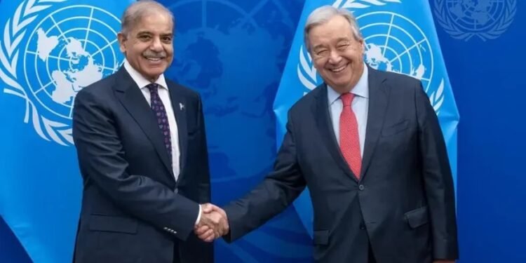 گوتریش و شریف افغانستان خصوصیده سۉزلهشگن