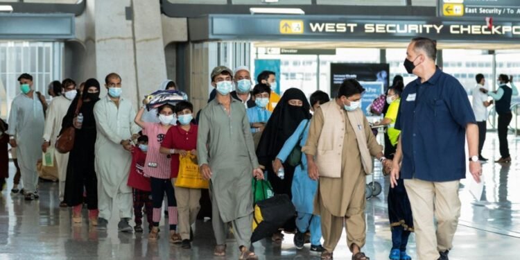 امریکا کیله‌سی ییل ۱۲۵ مینگ مهاجرنی قبول قیله‌دی