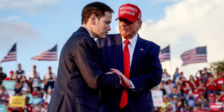 ترامپ کابینه‌سی؛ طالبان‌گه قرشی سیمالر اورته‌گه کېلماقده