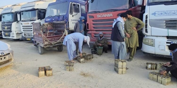 طالبان ۶۰ تانکر تیل‌نی ایران و ترکمنستان‌گه قیترگن