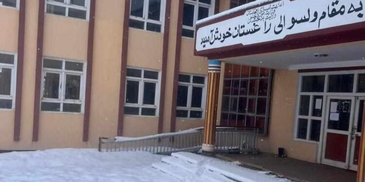 بدخشان‌ده اوچ باله ساووق‌ طفیلی هلاک بۉلدی