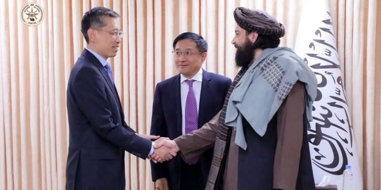 چین نینگ افغانستان و پاکستان‌گه قره‌شی؛ اقتصادی خوفسیزلیک دقت مرکزیده