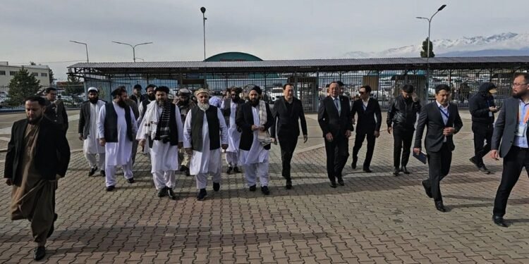 طالبان افغانستان و قزاقستان آره‌سیده‌گی بیر قنچه سوداگرلیک کیلیشوولردن خبر بېردی