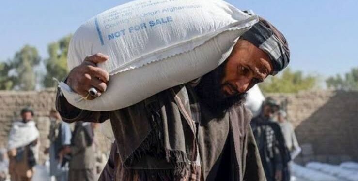 اوچا: اوچ ییل‌ده ۶.۷ میلیارد دالر یاردم افغانستان‌گه کېلگن