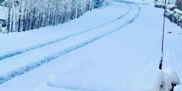 افغانستان ایریم منطقه‎لری یاغیشی‌گه گواه بۉلدی