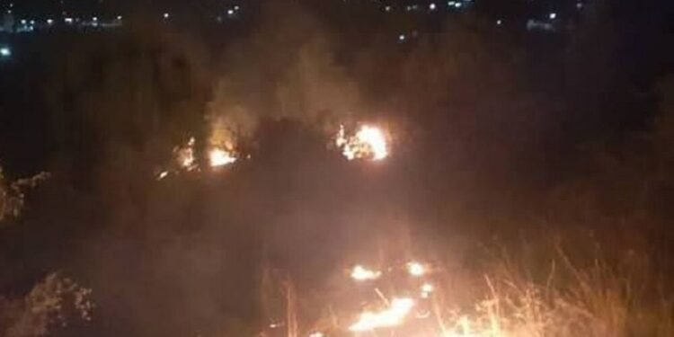 طالبان: پاکستان هجوملری عاقبتیده ۴۶ کیشی هلاک بۉلگن