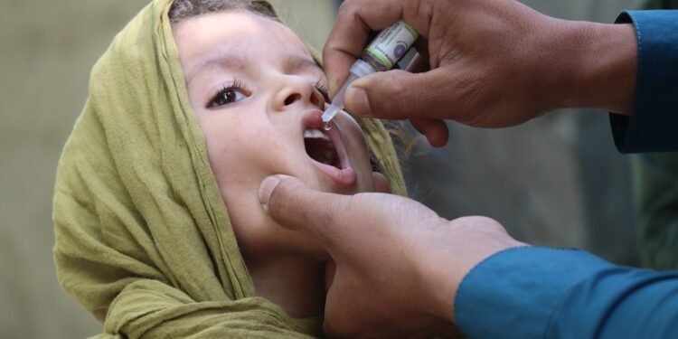 افغانستانده پولیوگه قرشی ایملنیش؛ ۴.۸ میلیون باله واکسین بۉلهدی