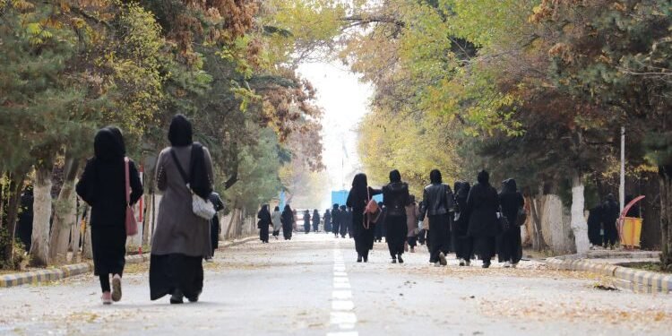 قیزلر برابریده طبی انستیتوتلر باغلهنیشی کۉپلب مناسبتلرگه باعث بۉلدی