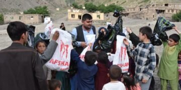 افغانستان‌لیک فعاللر حامد قرلق آزاد اېتیلیشی اوچون دادخواه‌لیک یۉلگه تشله‌دی