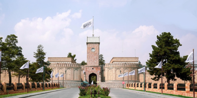 دنیا ۱۱ مملکتی وکیللری: افغانستان دواملی برقراری اوچون کینگ قمراولی حکومت کېرە‌ک دیر