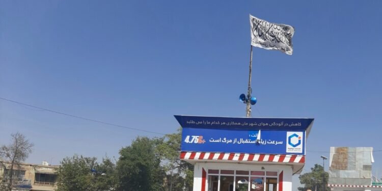 آزادلیک جبهه‌سی کندوزده ۵ طالب‌نی اۉلدیریب و یره‌لنتیرگنینی ادعا قیلدی