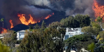 امریکاده‌ یانغین دوامی؛ قربان‌لر و زیان‌لر سانی کۉپه‌یدی