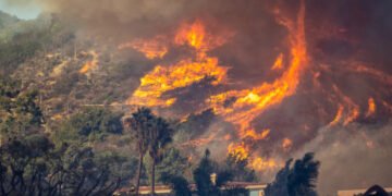 امریکاده یانغین دوامی؛ ۲۴ کیشی اۉلیب و ۱۶ کیشی یۉقالگن