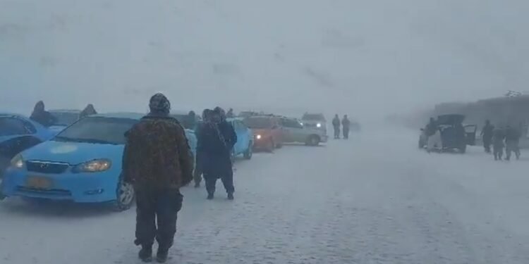 سالنگ عمومی قتناو یۉلی ترافیک یوزیگه قیته باغلندی