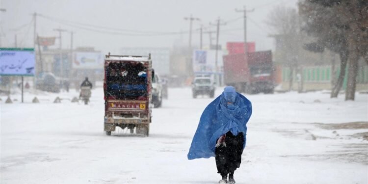اوچا: افغانستانده اۉن کیشی ساووق طفیلی جان بېرگن
