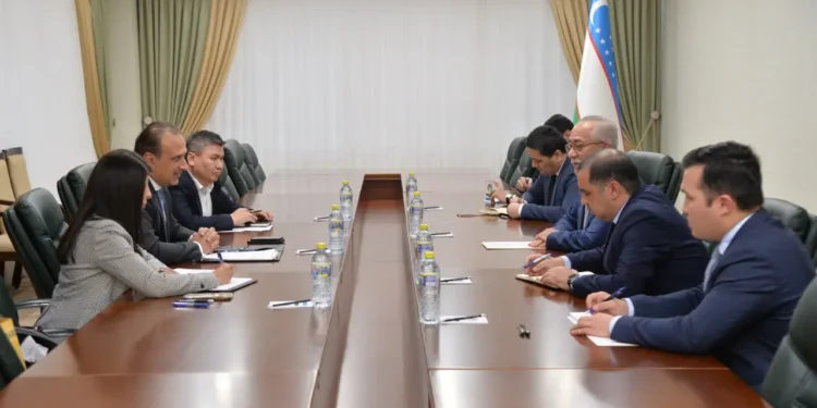 اۉزبېکستان و مصر رسمی‌لری افغانستان احوالی حقیده سۉزلشدی