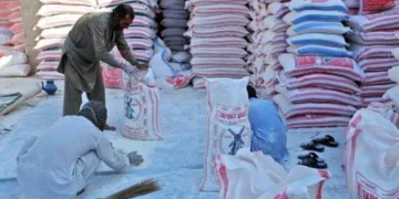 افغانستان میلادی ۲۰۲۴ –ییلی روسیه‌دن اینگ کۉپ اون ساتیب آلگن مملکت اېکن