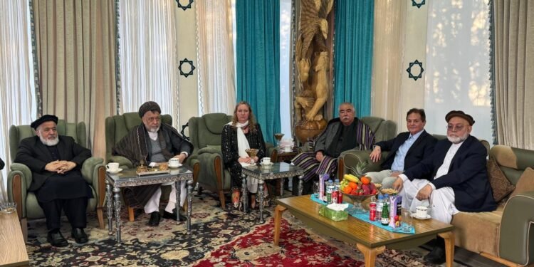 تورکیهده مارشال دوستم و امریکا وکیللری آرهسیده ملاقات اۉتکزیلدی