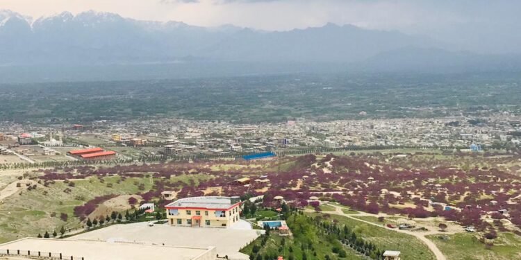 پروان‌ده قورالی اوغری‌لر بیر اوی‌گه هجوم قیلیب بیر عیال‌نی اۉلدیردی