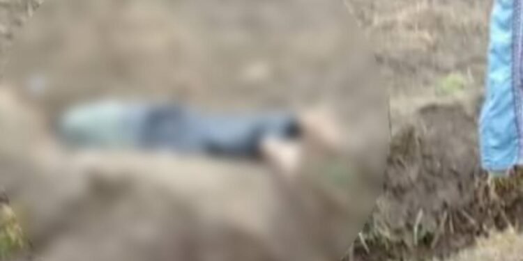 پروان‌ده ایکی کیشی طالبان تامانیدن اۉلدیریلدی