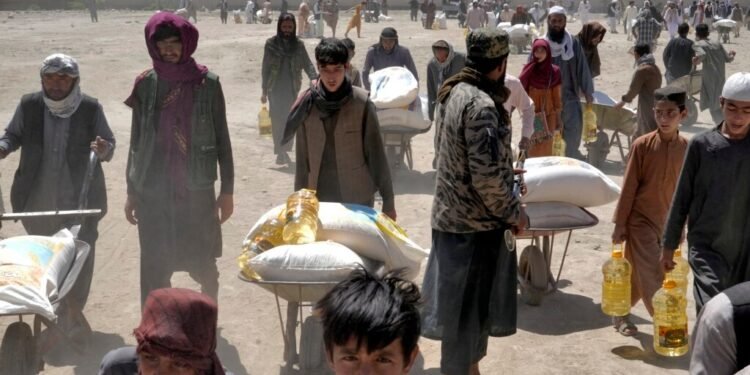 اوچا: افغانستان‌ده طالبان اره‌لشیشی عاقبتیده اۉنلرچه انسان‌پرورلیک لایحه تۉخته‌تیلدی