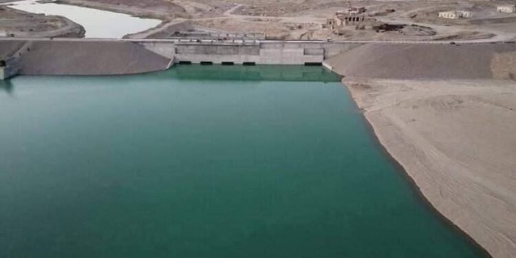 طالبان کمال خان سوو توغانی فایده‌لنیش‌گه تاپشیریلیشیدن خبر بېردی