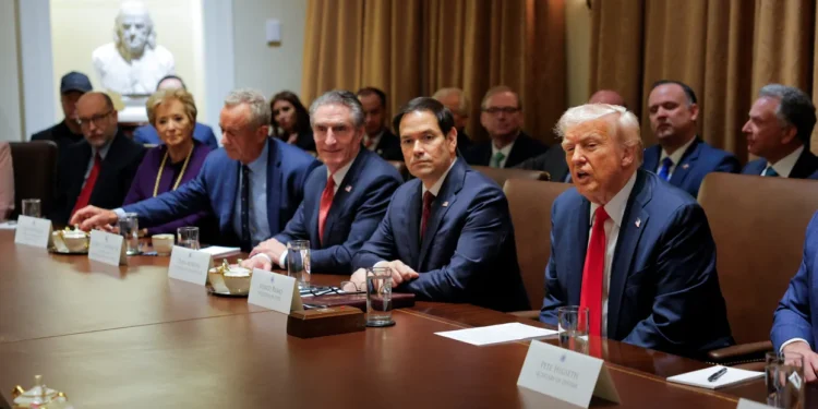 ترامپ: افغانستان‌دن چیقیش‌ جریانینی باشقیرگن جنراللر ایش‌دن بوشه‌تیلسین