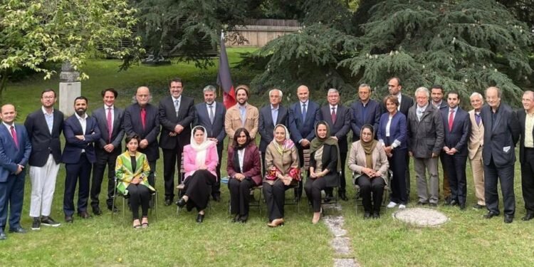 افغانستان خصوصیده ویانا ییغینی اۉتکزیلهدی