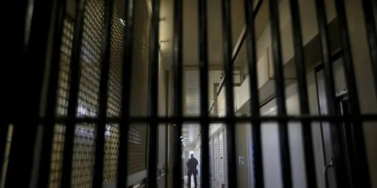 تاجکستان قماقخانه‎‌لریدن بیری‌ده قوزغلان یوز بېردی