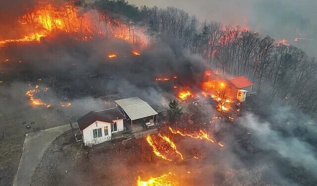 جنوبی کوریاده یانغین؛ اۉنلرچه کیشی اۉلیب و یره‌لنگن