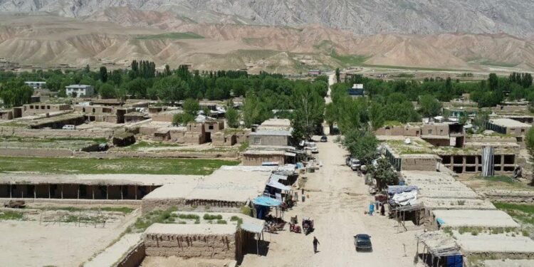 شیرینتگابده طالبان معارف آمری نینگ حقارتلری اۉقیتووچیلرنی استعفاگه مجبورلنتیرگن