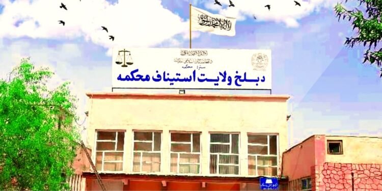 بلخده طالبان ایکی کیشینی شراب قاچاق اېتیشگه عیبلب دُره اۉردی