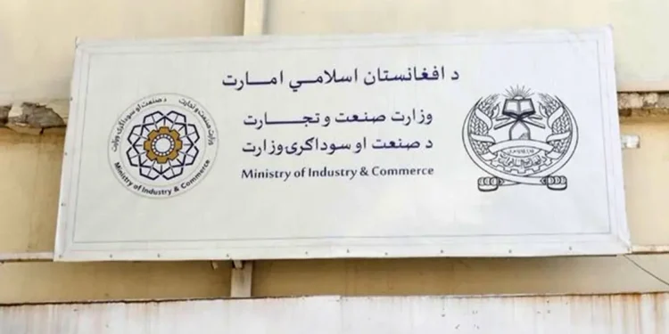 طالبان «افغان-قزاق» ناملی سوداگرلیک مجموعه‌سی اۉتکزیلیشیدن خبر بېردی