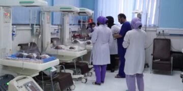 ساغلیقنی سقلش تشکیلاتی: هر ۷ ثانیه‌ده بیر آنه یا ده چقلاق جان بېره‌دی