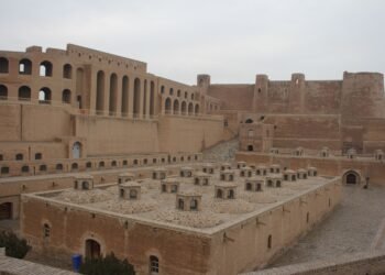 هرات‌ده خصوصی سکتور تامانیدن دَم آلیش مجموعه‌سی قوریله‌دی