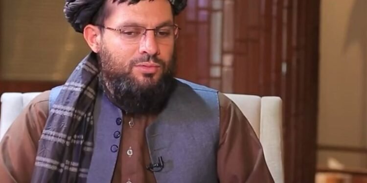 طالبان: اجتماعی صحیفه‌لردن ناتۉغری فایده‌لنگن کیشی‌لر جزالنه‌دی