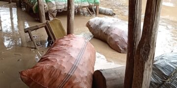 بدخشان‌ده سوو تاشقینی عاقبتیده بیش کیشی اۉلیب و یره‌لندی