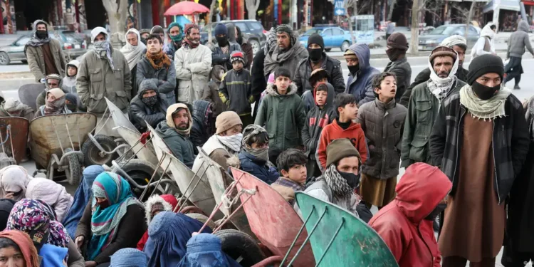 افغانستان‌ده انسان‌پرورلیک یاردملر آزه‌یشی عاقبتی ینه بیربار خواطرلی بیان بۉلدی