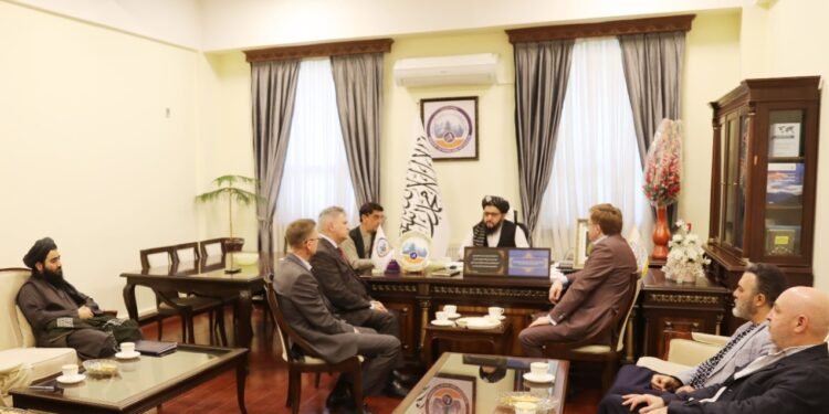 طالبان: روسیه‌لیکلر افغانستان نینگ آلتین کانلریده سرمایه یاتقیزیش‌گه قیزیقیش کۉرسه‌تدی