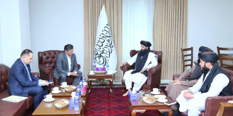 طالبان و اۉزبېکستان اۉرتهلریدهگی همکارلیکلر کوچهیشینی تاکیدلدی