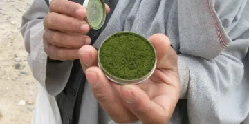 ساغلیقنی سقلش تشکیلاتی افغانستان‌ده تنباکو/ناس چیکیش‌ کۉپه‌یشیدن آگاه‌لنتیردی