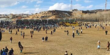 طالبان ایکی ولایتده ۲۰ دن آرتیق کیشی‎‌نی دُره‌لدی