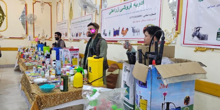 سمنگان و جوزجان ولایتلریده ایکینچیلیک محصولاتلری کۉرگزمه‌سی اۉتکزیلدی