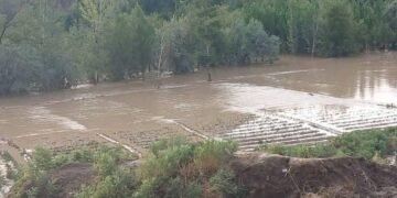 طالبان اخیرگی سوو تاشقین‌لری عاقبتیده کمیده بیش کیشی هلاک بۉلگنینی اعلام قیلدی