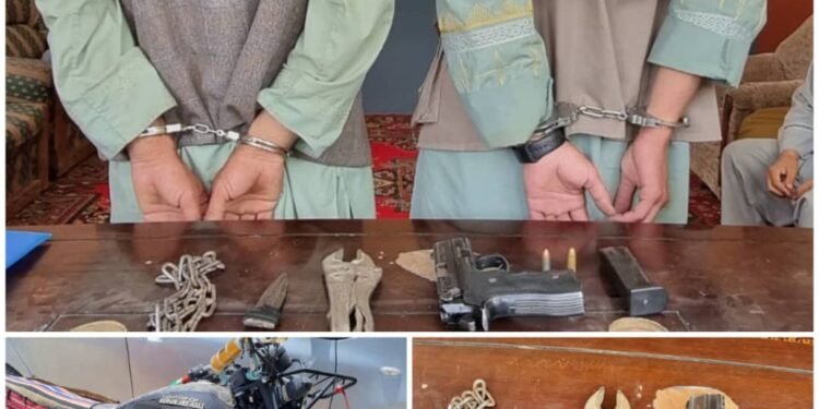 طالبان فاریاب‌ده ایکی قورالی اوغری اوشلنگنیدن خبر بېردی