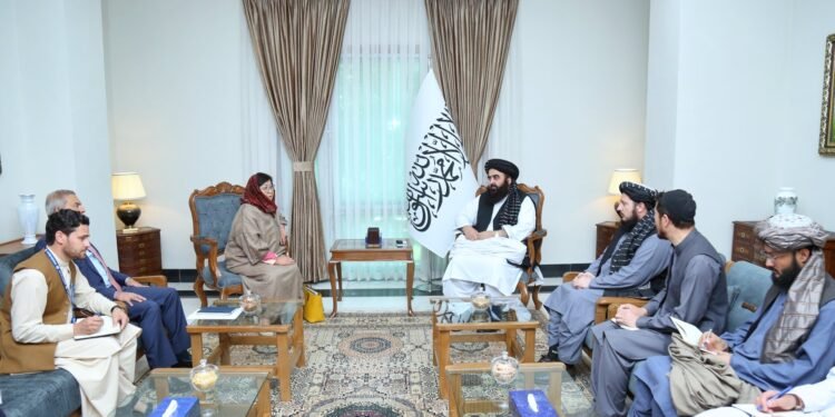 طالبان اروپاده قونسولی خذمتلر ترقهتیلیشی اوچون بو حاکمیت بیلن همکارلیک بۉلیشینی خواهلهدی