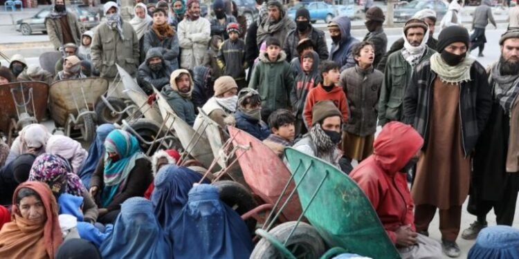 آزیق-دستوری افغانستان‌ده میلیون‌لرچه کیشی آغیر اقتصادی وضعیت‌ده ایکنی‌دن آگاه‌لنتیردی