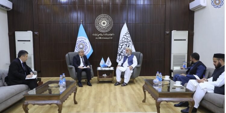 طالبان و قرغیزستان اقتصادی همکارلیکلری کوچهیشیگه تاکید قیلدی