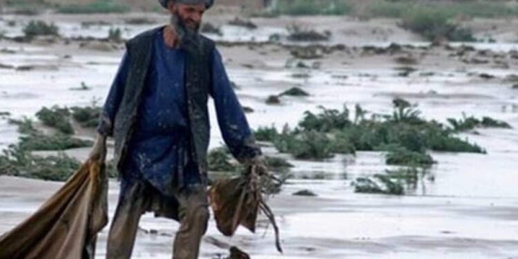 بیرلشکن ملتلر تشکیلاتی افغانستان‌ده اقلیم اوزگریشی عاقبتیدن آگاه‌لنتیردی